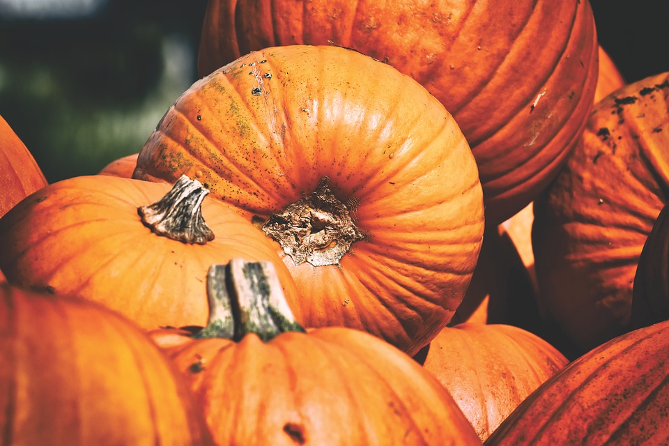 herbstliche Deko